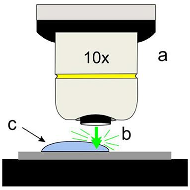 Indirect Quantification of Glyphosate by SERS Using an Incubation Process With Hemin as the Reporter Molecule: A Contribution to Signal Amplification Mechanism